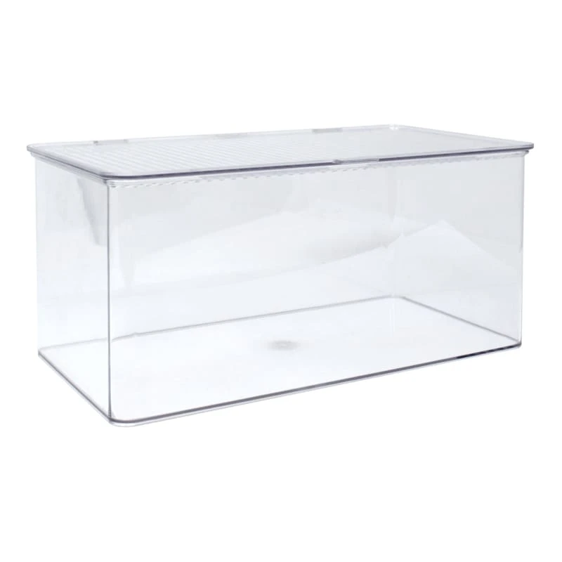 Hinged Clear Storage Bin Set, Large